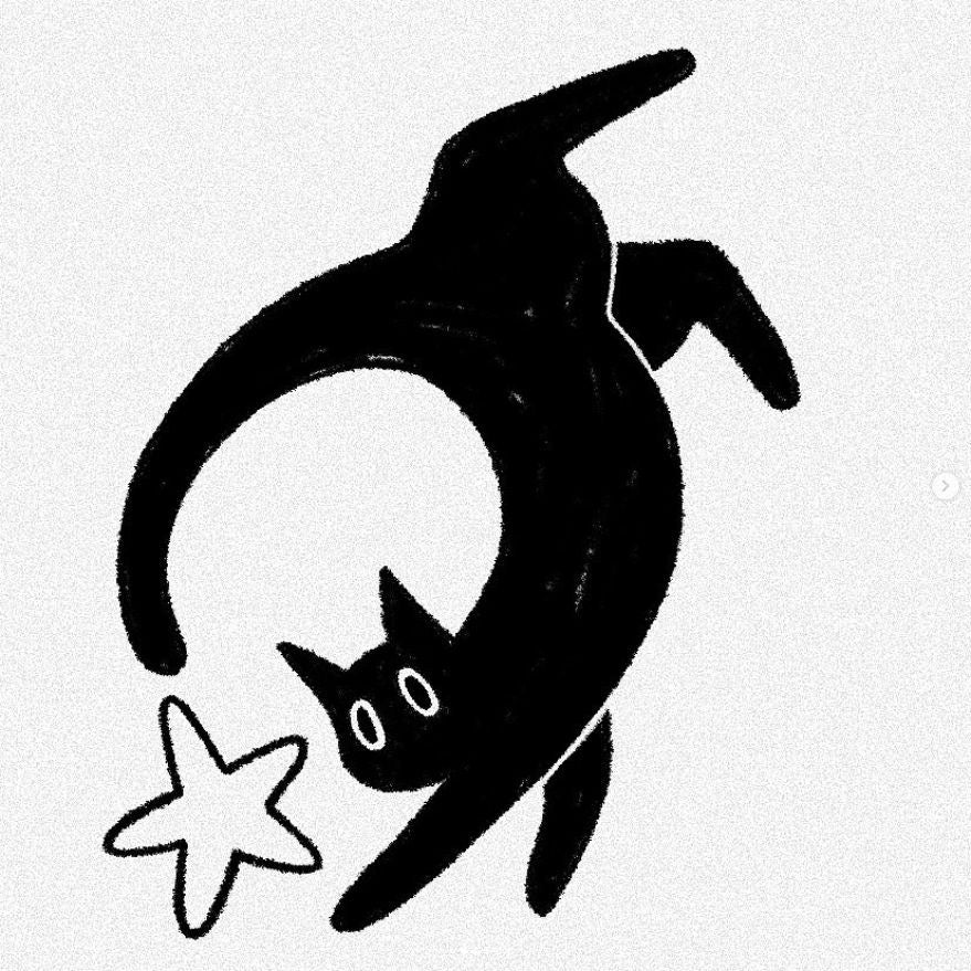 star catching black cat sticker